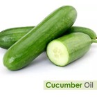 Cucumber Seed  cucumis Sativus  100  Pure   Natural Carrier Oil - 10ml-5000ml