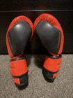 Everlast Powerlock 2 Pro Hook And Loop Training Boxing Gloves 12oz Leather Red