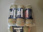 Bernat Super Value Yarn  Spring Ombre  New  Estate Lot  Set Of 6