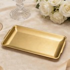 Aynaxcol 304 Stainless Steel Food Serving Tray 12 6 Inch Rectangular Serving