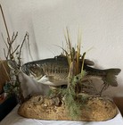 Bass Table Mount 22   
