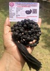 Lab Certified 5 Mukhi Rudraksha Black Rudraksh Mala Rosary 108 1 Prayer Beads  2