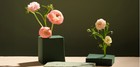 Oasis Deluxe Floral Foam Bricks - Case Of 48 - Maxlife Floral Foam - Wet Floral