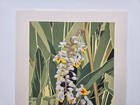 Masaki Yoshida Japanese Woodblock Print Flower  2