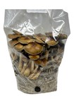 Myco Labs All In One Mushroom Grow Kit In A Bag  4 Lbs 