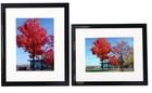 8x10 Picture Frame  Display Pictures 8x10 for Certificate Poster And Photo Wa   