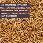 Dried Mealworms - Non-gmo High Protein Treat For Chickens  Birds  Reptiles  Fish