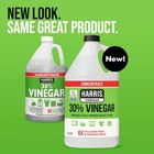 Harris 30  Concentrated Vinegar 1-gallon Multi-use All-purpose Cleaning Solution