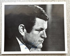 Senator Ted Kennedy Signed Card Stock Photo 8x10 Copy Of Senate Res 304 No Coa