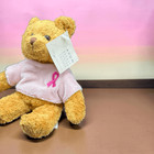 2001 Avon Breast Cancer Crusade Bean Bag Teddy Bear P33