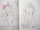 How To Draw Manga Woman s Breast  japanese Anime Drawing Illustrations Art Book