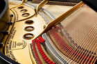 Steinway   Sons Model M     Premium Art Edition  5 7  Grand Piano