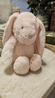 Carters Pink Musical Plush Bunny Rabbit Baby Toy Wind Up Lovey 2016  Easter 