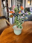 Jade Glass Flowering Bonsai Tree-japanese-chinese-oriental-asian-18 5  Wide