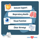 L-lysine Supplement For Cats For Sneezing And Runny Nose  Cat Cold  Eye Function