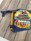 Vintage Cedar Point Pennant Flag 30  With Ties Lake Erie Sandusky Ohio