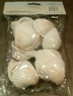 4 Lb Lot Of 6 Large Anadara Natural Seashells Home Decor Crafts Arts New
