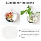Glass Vase Flower Planter For Decor Propagating Hydroponic Plants