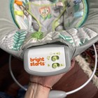 Bright Starts Cradling Bouncer Seat With Vibration And Melodies - Works