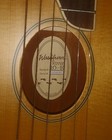 Washburn Rover Travel Guitar Ro10