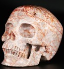 5 0  Red Network Jasper Carved Crystal Skull super Realistic crystal Healing