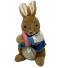 Eden Peter Rabbit Lot 6 Plush Squirrel Frog Duck Hedgehog Beatrix Potter Vintage