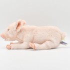 Hansa Pig 33 Bh4944 New Realistic Plush Animals From Japan