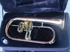 Berkeleywind Bb A Gold Brass Flugelhorn  vertical Valve 