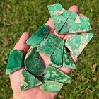 Lucin Variscite Slabs Rough Utah Usa 142 6 Grams