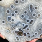 3 3lb Natural Banded Moss Agate Crystal Slice Rough Mineral Specimen