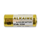 New Battery A23 23a 23ae A23bp Mn21 Mn23 21 23 Gp23 23ga Us Seller Hot 