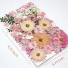 14 Types Pink Dried Pressed Flowers For Craft  Leaf Plant Herbarium For Resin 