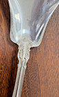 Gorham Chantilly Pattern Sterling Silver Sugar Berry Spoon 6 Inches No Monograms