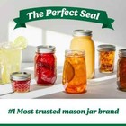Ball   Wide Mouth Pint 16oz  Glass Mason Jars With Lids And Bands  12 Count