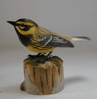 Townsend s Warbler Original Bird Wood Carving