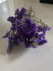 Purple Sinuata Statice   Dried Flowers Bunch Bouquet Bundle Auc 1