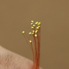20pcs Pre-wired Micro 0 1mm Copper Wire Smd Led 0402 Warm White Lights C0402wm