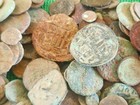 Massive Sale  20 Ancient Uncleaned Roman Practice Coins  Only  25 