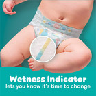 Pampers Baby Dry Diapers Size 4 148 Ct Ships From Usa