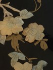3 Vintage Chinese Black Lacquer Mother Of Pearl Wall Panel Art 24 X 8 - Birds
