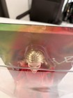 Barbie Signature Kylie Minogue Doll     Red Padam Outfit  nrfb Sealed 