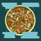 Zupreem Smart Selects Bird Food For Parrots   Conures  4 Lb - Everyday Feeding