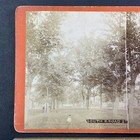 Savannah Georgia Oglethorpe Avenue Stereoview O  Havens Antique C1878 Y1763