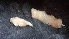 Huge Geode Of Stilbite Clusters In Black Chalcedony  3678