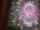8  Handmade Stained Glass Novascope Liquid Filled Wand Kaleidoscope