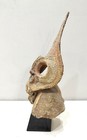 Mask Papua New Guinea Money Shell Yangoru Talipun Yam Mask