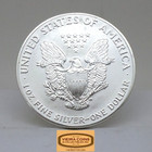 Random Year American Silver Eagle 1 Oz  Scruffy -  d11