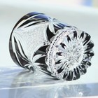 Crystal Whiskey Glasses Tumbler Edo Kiriko Glassware Vodka Wine Clear Black 9oz