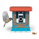 Wyze Smart Bird Feeder With Hd Camera     Live Stream   Record Birds In Stunning D