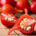 Red Biquinho Pepper Seeds   Brazilian Heirloom   Little Beak   Free Ship   1283